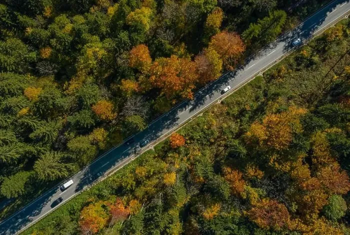 Framed Print : Vertical viewfrom a drone at a autumn road Framed Print : Vertical viewfrom a drone at a autumn road