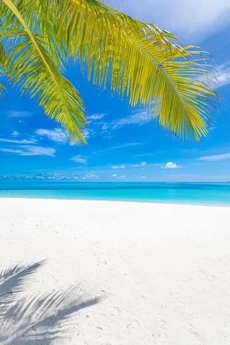 Framed Print : Vertical wide paradise beach panorama background with coco palms. Sunny summer scenery, beach landscape, paradise island concept Framed Print : Vertical wide paradise beach panorama background with coco palms. Sunny summer scenery, beach landscape, paradise island concept