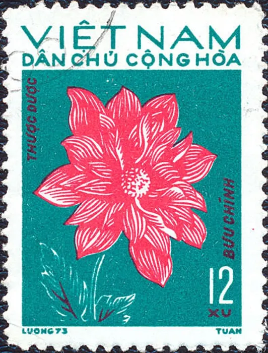 Framed Print : Vietnam - 1973: Postage stamp printed in Vietnam shows red flower. Stamp printed by Vietnamese Post circa 1973 Framed Print : Vietnam - 1973: Postage stamp printed in Vietnam shows red flower. Stamp printed by Vietnamese Post circa 1973