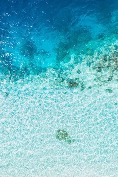 Framed Print : Top view aerial drone photo of one of the most beautiful beaches in the world, incredibly beautiful blue water, top view of coral reef, shoreline Framed Print : Top view aerial drone photo of one of the most beautiful beaches in the world, incredibly beautiful blue water, top view of coral reef, shoreline