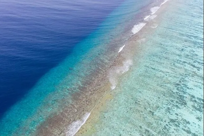 Framed Print : Top view aerial photo from flying drone. Beautiful beach. Aerial view of calm waves, breaking at coral reef. Exotic ocean beach, tropical landscape Framed Print : Top view aerial photo from flying drone. Beautiful beach. Aerial view of calm waves, breaking at coral reef. Exotic ocean beach, tropical landscape