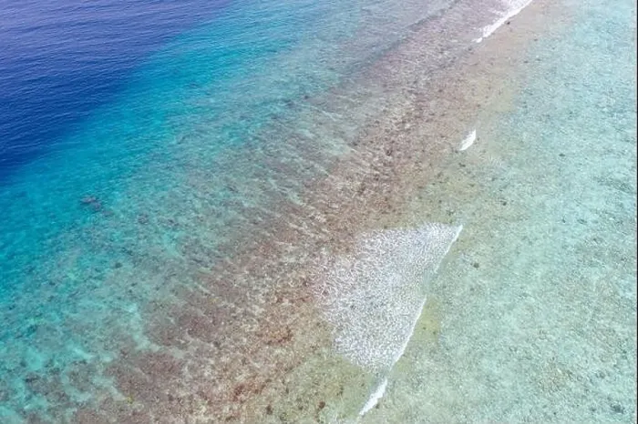 Framed Print : Top view aerial photo from flying drone. Beautiful beach. Aerial view of calm waves, breaking at coral reef. Exotic ocean beach, tropical landscape Framed Print : Top view aerial photo from flying drone. Beautiful beach. Aerial view of calm waves, breaking at coral reef. Exotic ocean beach, tropical landscape