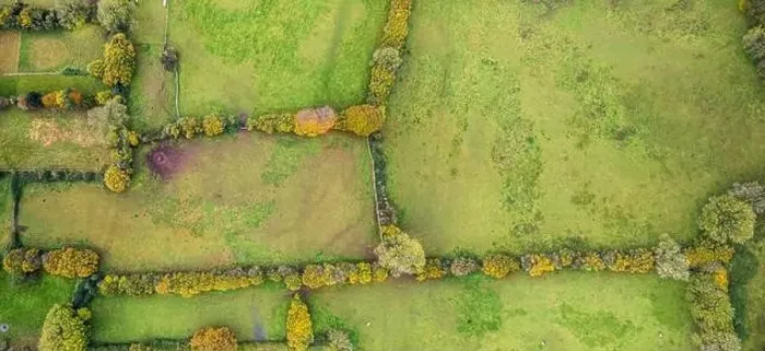 Framed Print : Top Down view of Autumn Colors over Somerset fields from a drone, England, Europe Framed Print : Top Down view of Autumn Colors over Somerset fields from a drone, England, Europe
