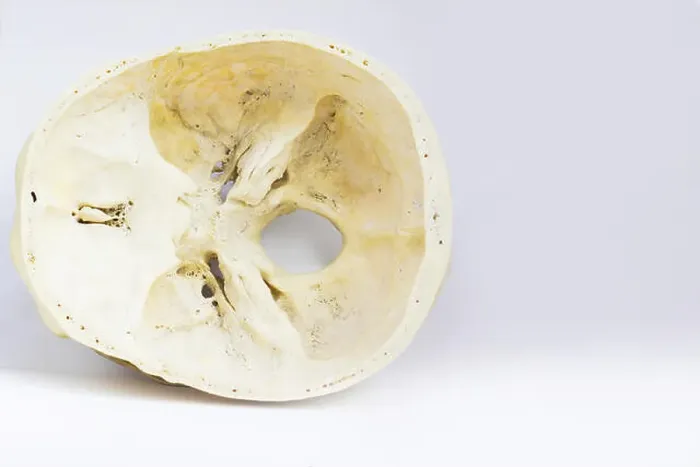 Framed Print : top view of base of the human skull showing sphenoid bone and foramen magnum for anatomy in isolated white background Framed Print : top view of base of the human skull showing sphenoid bone and foramen magnum for anatomy in isolated white background