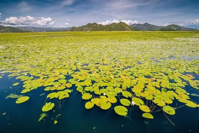 Framed Print : view of the beautiful Skadar Lake Framed Print : view of the beautiful Skadar Lake