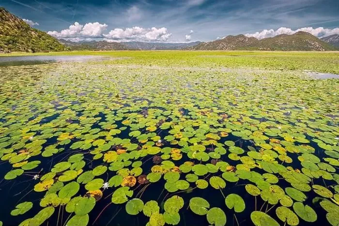 Framed Print : view of the beautiful Skadar Lake Framed Print : view of the beautiful Skadar Lake