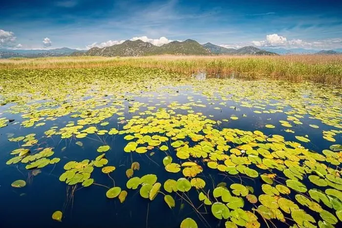 Framed Print : view of the beautiful Skadar Lake Framed Print : view of the beautiful Skadar Lake