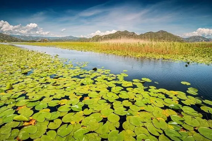Framed Print : view of the beautiful Skadar Lake Framed Print : view of the beautiful Skadar Lake