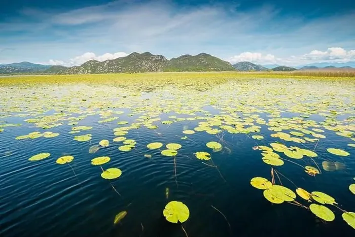 Framed Print : view of the beautiful Skadar Lake Framed Print : view of the beautiful Skadar Lake