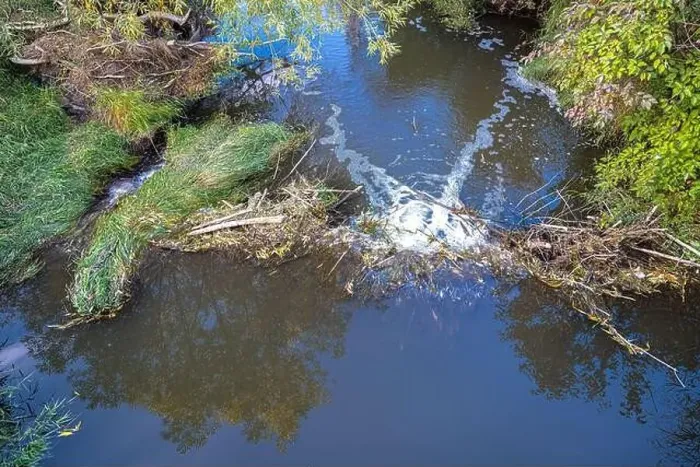 Framed Print : Above View of a Beaver Dam Framed Print : Above View of a Beaver Dam