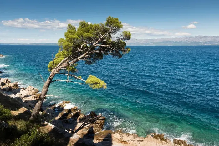 Framed Print : A view of the blue Adriatic sea at Trpanj Croatia with pine trees in the foreground, in summer sunshine Framed Print : A view of the blue Adriatic sea at Trpanj Croatia with pine trees in the foreground, in summer sunshine