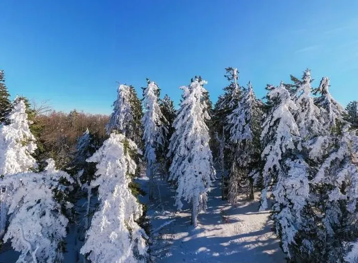 Framed Print : View from a drone on a snow-covered flax in the mountains. Huge trees. Panoramic view
