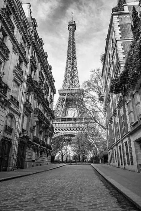 Framed Print : View of the Eiffel Tower from a nearby street full of residential buildings. Paris, France. Black and white photography Framed Print : View of the Eiffel Tower from a nearby street full of residential buildings. Paris, France. Black and white photography