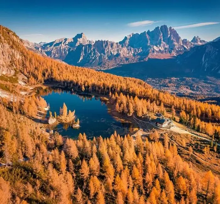 Framed Print : View from flying drone of popular tourist destination - Federa lake among red larch trees Framed Print : View from flying drone of popular tourist destination - Federa lake among red larch trees