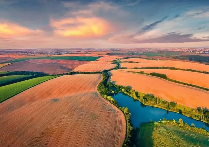 Framed Print : View from flying drone of river in the shape of tree among the field of wheat Framed Print : View from flying drone of river in the shape of tree among the field of wheat