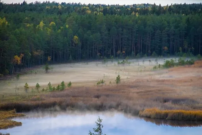 Framed Print : View of forest and Kangari lake from above. Latvian nature. Fog Framed Print : View of forest and Kangari lake from above. Latvian nature. Fog