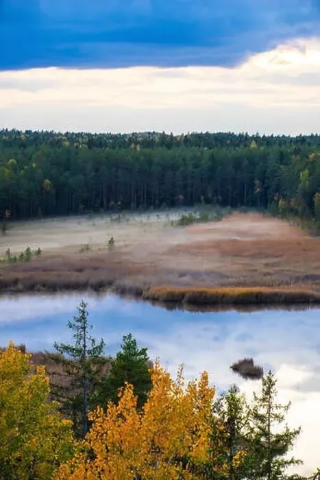 Framed Print : View of forest and Kangari lake from above. Latvian nature. Autumn landscape. Fog
