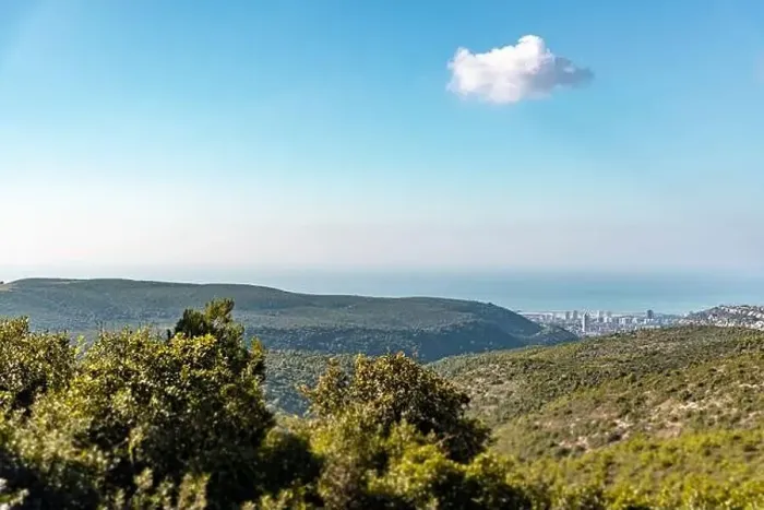 Framed Print : View of forest, sea, and city under a blue sky Framed Print : View of forest, sea, and city under a blue sky