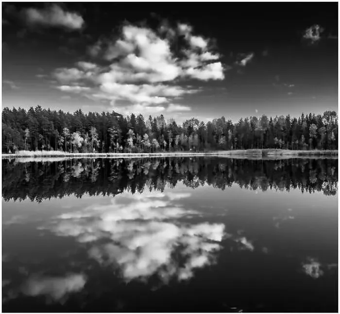 Framed Print : View of Kingari lake. Black and white. Latvian nature. Beautiful landscape. Framed Framed Print : View of Kingari lake. Black and white. Latvian nature. Beautiful landscape. Framed