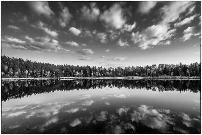 Framed Print : View of Kingari lake. Black and white. Latvian nature. Beautiful landscape. Framed Framed Print : View of Kingari lake. Black and white. Latvian nature. Beautiful landscape. Framed