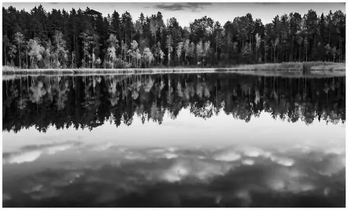 Framed Print : View of Kingari lake. Black and white. Latvian nature. Beautiful landscape. Framed Framed Print : View of Kingari lake. Black and white. Latvian nature. Beautiful landscape. Framed