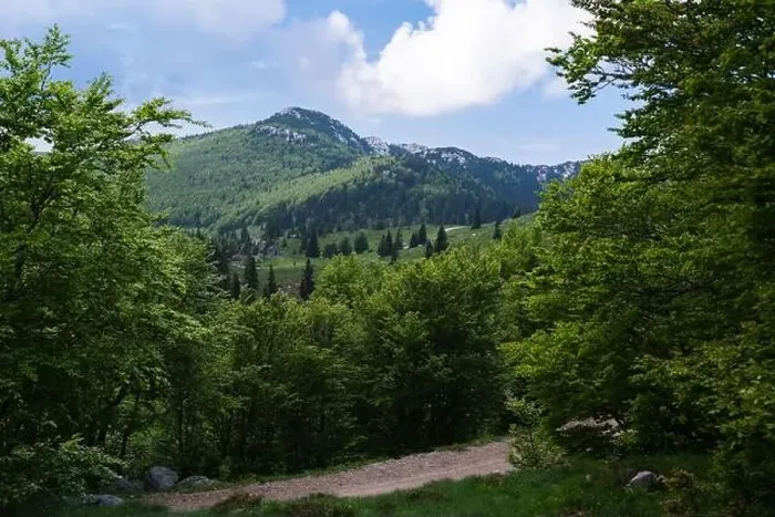 Framed Print : View of the landscape of Velebit National Park in early summer Framed Print : View of the landscape of Velebit National Park in early summer