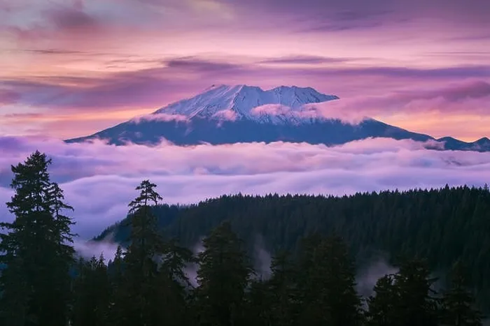 Framed Print : View of Mount St Helens sunset from McClellan Viewpoint in Gifford Pinchot National Forest Washington Framed Print : View of Mount St Helens sunset from McClellan Viewpoint in Gifford Pinchot National Forest Washington
