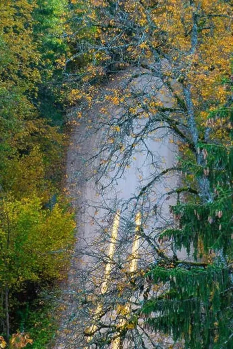 Framed Print : View of road in forest from above. Headlights on a long exposure. Autumn in Latvia Framed Print : View of road in forest from above. Headlights on a long exposure. Autumn in Latvia