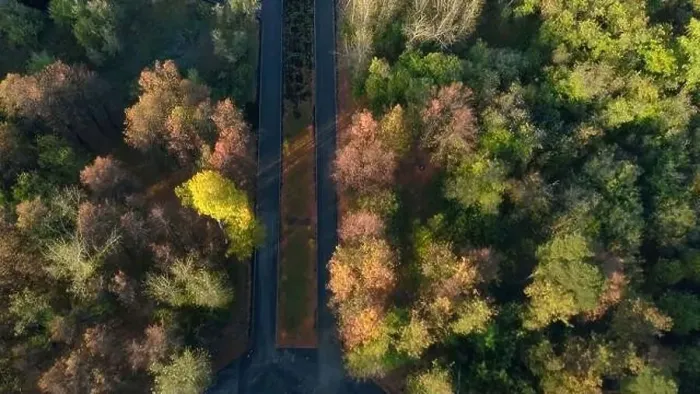 Framed Print : Top view of roads in autumn forest. Clip. Well-maintained paved roads in autumn forest. Road system in forest estate Framed Print : Top view of roads in autumn forest. Clip. Well-maintained paved roads in autumn forest. Road system in forest estate