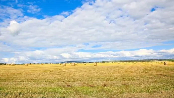 Framed Print : View over Scottish farmland with round straw bales Framed Print : View over Scottish farmland with round straw bales