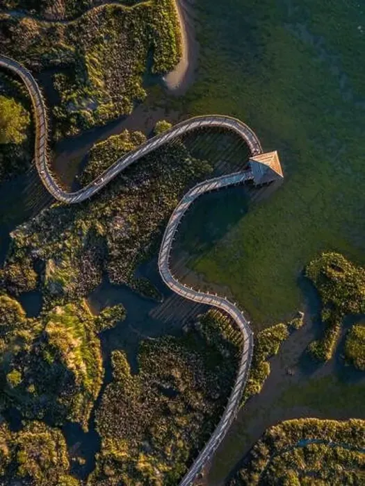 Framed Print : Top view of sea with wooden walkway - Aerial top view of wooden bridge pathway over marshy river with vegetation Framed Print : Top view of sea with wooden walkway - Aerial top view of wooden bridge pathway over marshy river with vegetation