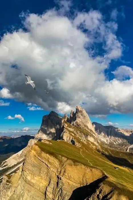 Framed Print : View on Seceda with birds flying over the peaks Framed Print : View on Seceda with birds flying over the peaks