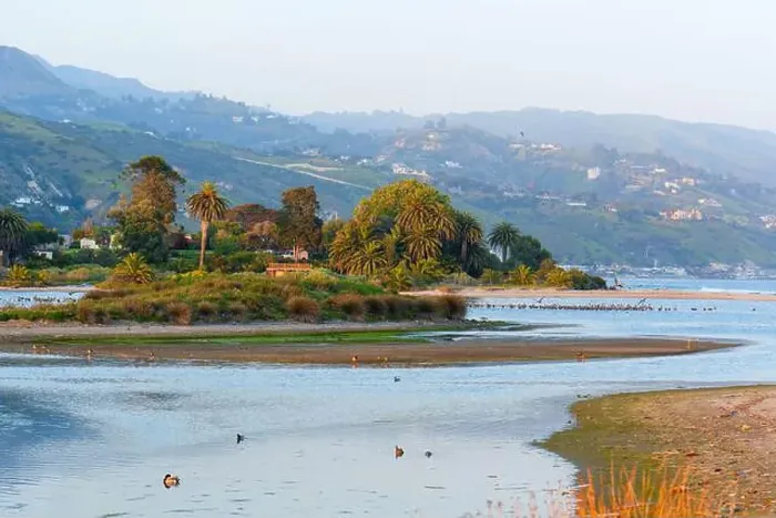 Framed Print : View of small island in Malibu Lagoon adorned with palm trees and ducks Framed Print : View of small island in Malibu Lagoon adorned with palm trees and ducks
