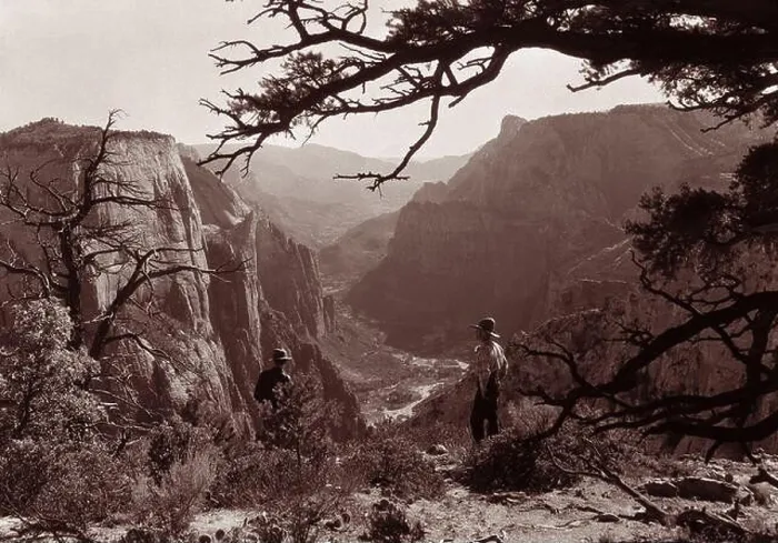 Framed Print : View through trees down Zion Canyon from east side of Observation Point