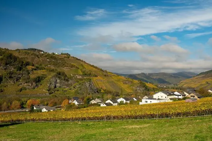 Framed Print : view to the village Burg in the river moselle valley near Enkirch in Germany in autumn Framed Print : view to the village Burg in the river moselle valley near Enkirch in Germany in autumn