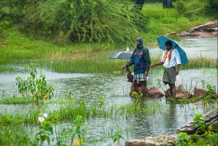 Framed Print : Village people angling during a rainy day, Tamil Nadu, South India, India, Asia Framed Print : Village people angling during a rainy day, Tamil Nadu, South India, India, Asia