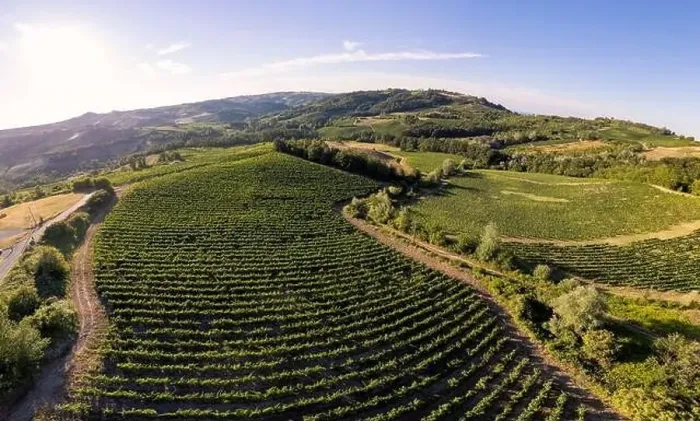 Framed Print : Vineyard plantations, panoramic aerial view north of Italy. Blue sky, clouds, countryside hills in Summer Framed Print : Vineyard plantations, panoramic aerial view north of Italy. Blue sky, clouds, countryside hills in Summer