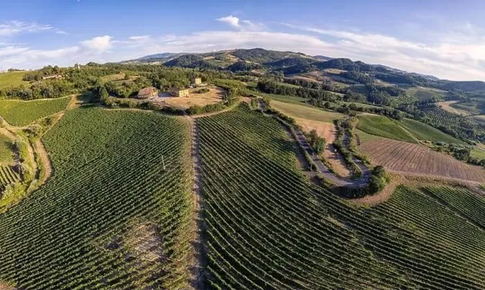 Framed Print : Vineyard plantations, panoramic aerial view north of Italy. Blue sky, clouds, countryside hills in Summer Framed Print : Vineyard plantations, panoramic aerial view north of Italy. Blue sky, clouds, countryside hills in Summer