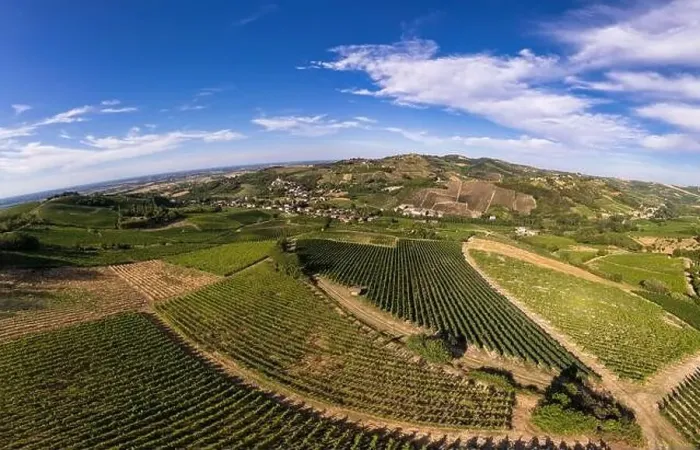 Framed Print : Vineyard plantations, panoramic aerial view north of Italy. Blue sky, clouds, countryside hills in Summer Framed Print : Vineyard plantations, panoramic aerial view north of Italy. Blue sky, clouds, countryside hills in Summer