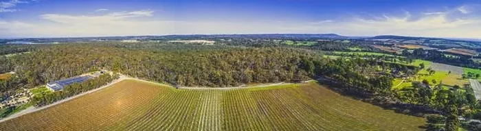 Framed Print : Vineyard and surrounding forest on bright sunny day - wide aerial panorama Framed Print : Vineyard and surrounding forest on bright sunny day - wide aerial panorama