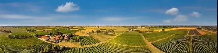 Framed Print : Vineyards in Italy, Aerial view of scenic vineyards in Italy Framed Print : Vineyards in Italy, Aerial view of scenic vineyards in Italy