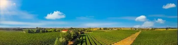 Framed Print : Vineyards in Italy, Aerial view of scenic vineyards in Italy Framed Print : Vineyards in Italy, Aerial view of scenic vineyards in Italy