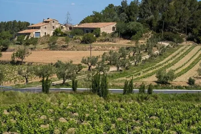 Framed Print : Vineyards in the spring in the Subirats wine region in the province of Barcelona Framed Print : Vineyards in the spring in the Subirats wine region in the province of Barcelona