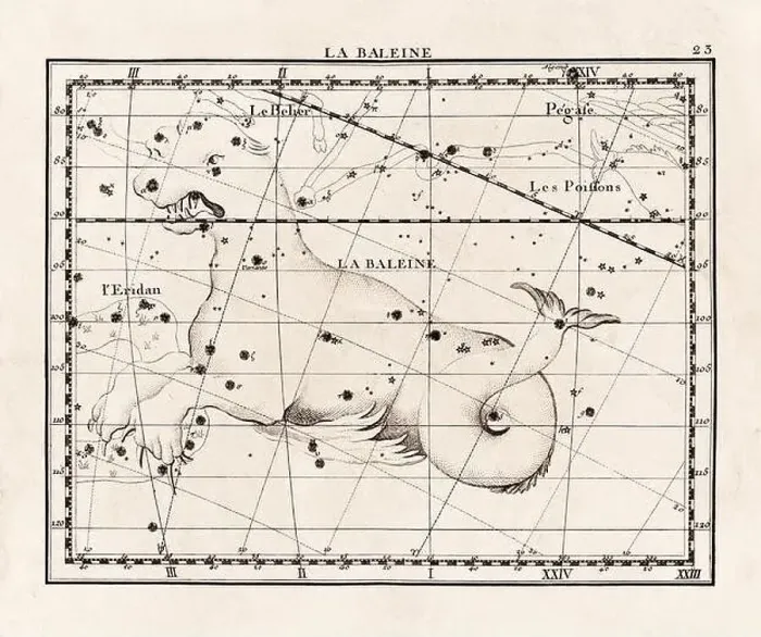 Framed Print : Vintage constellation illustration from the early 18th century Framed Print : Vintage constellation illustration from the early 18th century