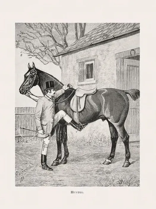 Framed Print : Vintage horse illustration from a 19th-century book on light horse breeds Framed Print : Vintage horse illustration from a 19th-century book on light horse breeds