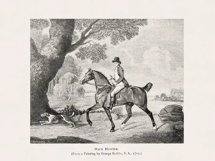 Framed Print : Vintage horse illustration from a 19th-century book on light horse breeds Framed Print : Vintage horse illustration from a 19th-century book on light horse breeds