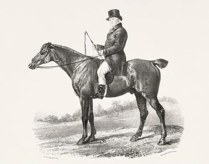 Framed Print : Vintage Horse Illustration. Plate from a 19th-century book on racehorses and saddle horses, published in London Framed Print : Vintage Horse Illustration. Plate from a 19th-century book on racehorses and saddle horses, published in London