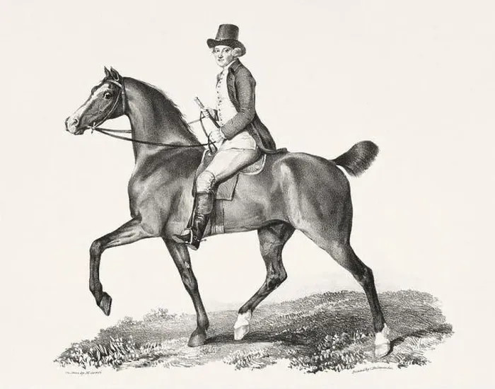 Framed Print : Vintage Horse Illustration. Plate from a 19th-century book on racehorses and saddle horses, published in London Framed Print : Vintage Horse Illustration. Plate from a 19th-century book on racehorses and saddle horses, published in London