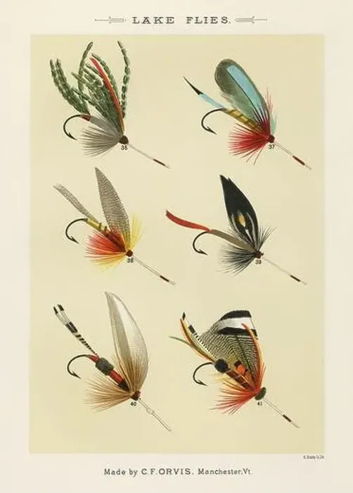 Framed Print : Vintage Illustration of fly fishing hooks Framed Print : Vintage Illustration of fly fishing hooks
