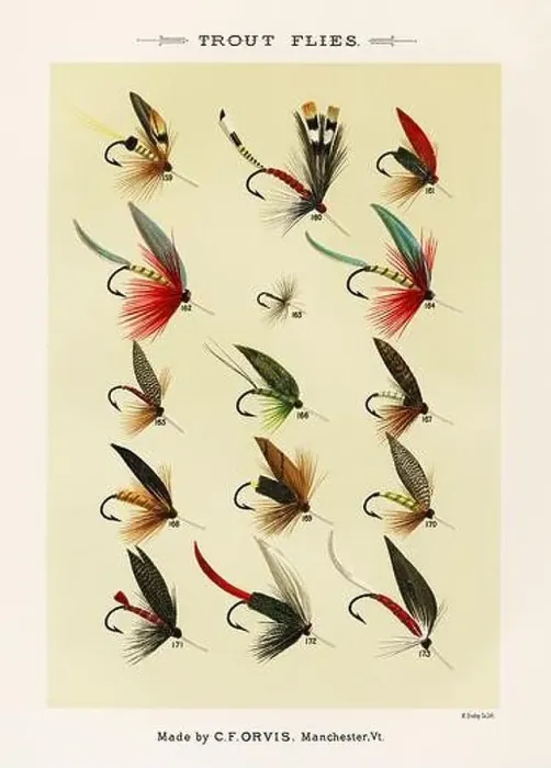 Framed Print : Vintage Illustration of fly fishing hooks Framed Print : Vintage Illustration of fly fishing hooks